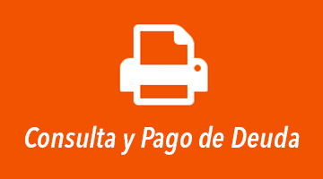 Consulta de Pago de Deuda