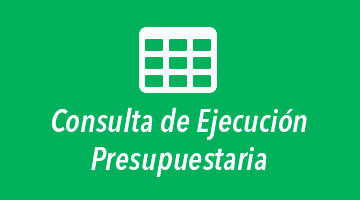 Consulta de Ejecución Presupuestaria