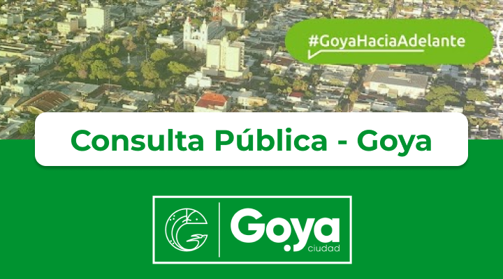 Consulta Ciudadana