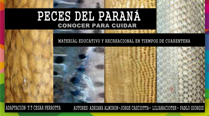 Peces del Paranà